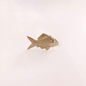 Fish Brass Cabinet Knob - Polished Brass Shoal Knobs , Set of 2