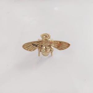 Bee Brass Polished Knob - Antique brass hornet cabinet knob, set of 2.