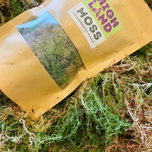 1 Bag 4L Fresh Green Sphagnum Moss for Plants Pots Daffodils