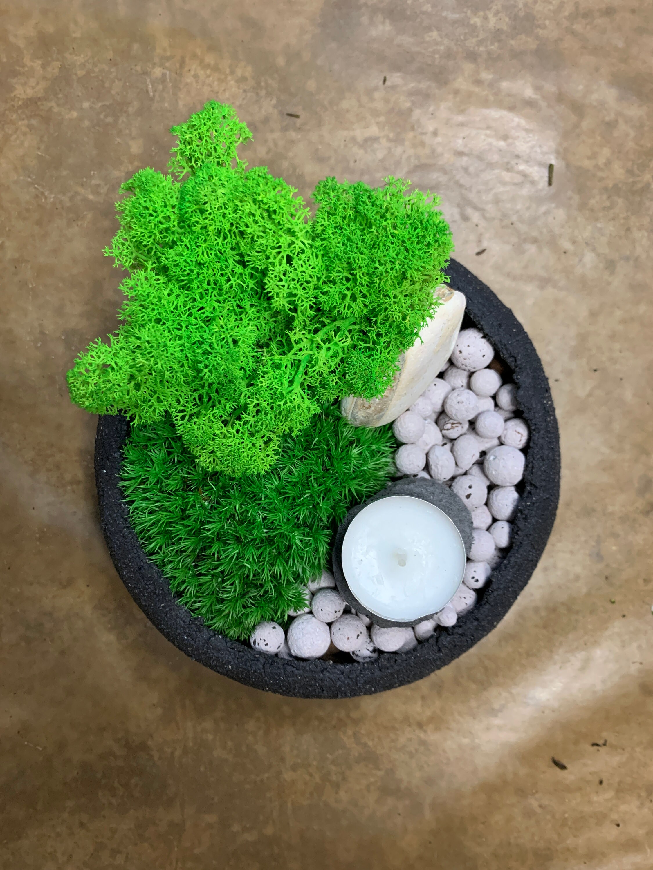 Preserved Moss Bowl KIT Make your own moss bowl Etsy