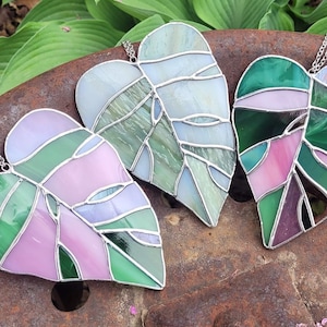 Philodendron Pink Princess Stained Glass Leaf - Pink Green White Cream
