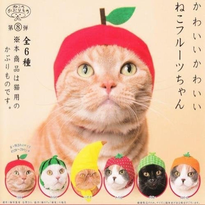 Kitan Club Cat Cap Gachapon Fruit Series 2 Etsy