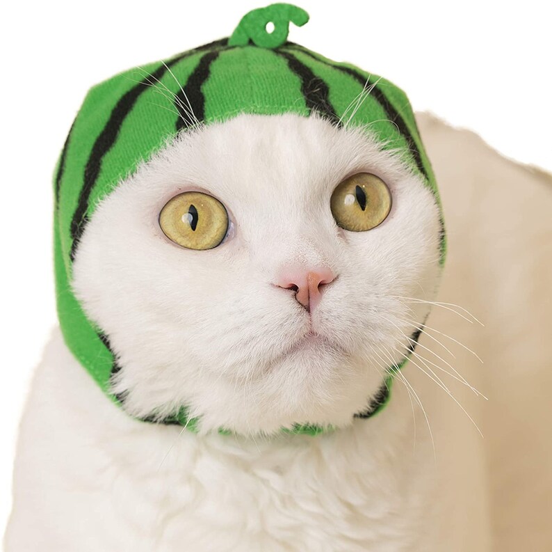 Kitan Club Cat Cap Gachapon Fruit Series 2 Etsy