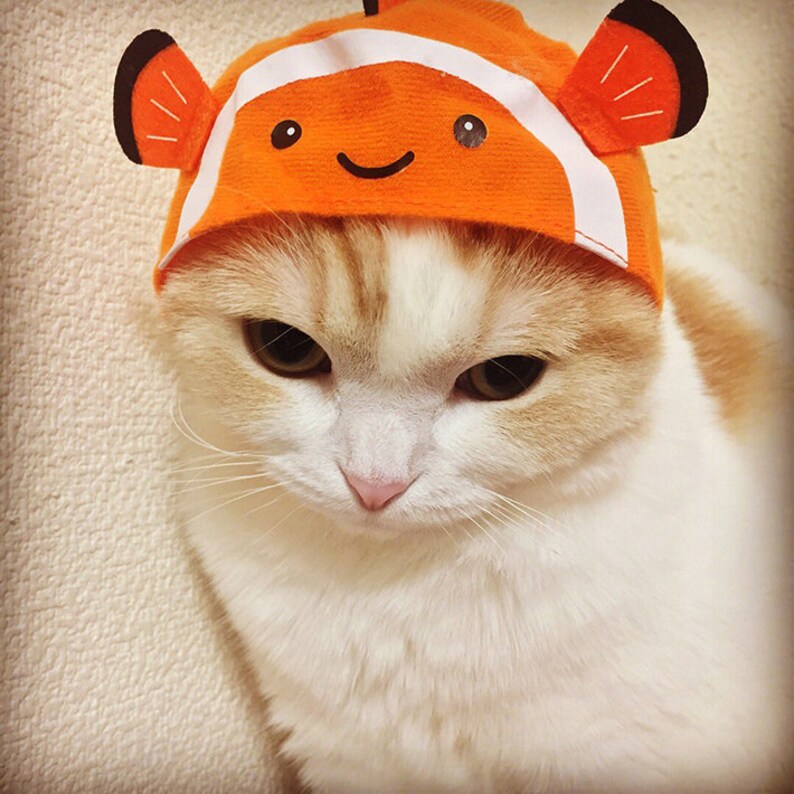 Cat Cap Gachapon Aquarium Series Etsy