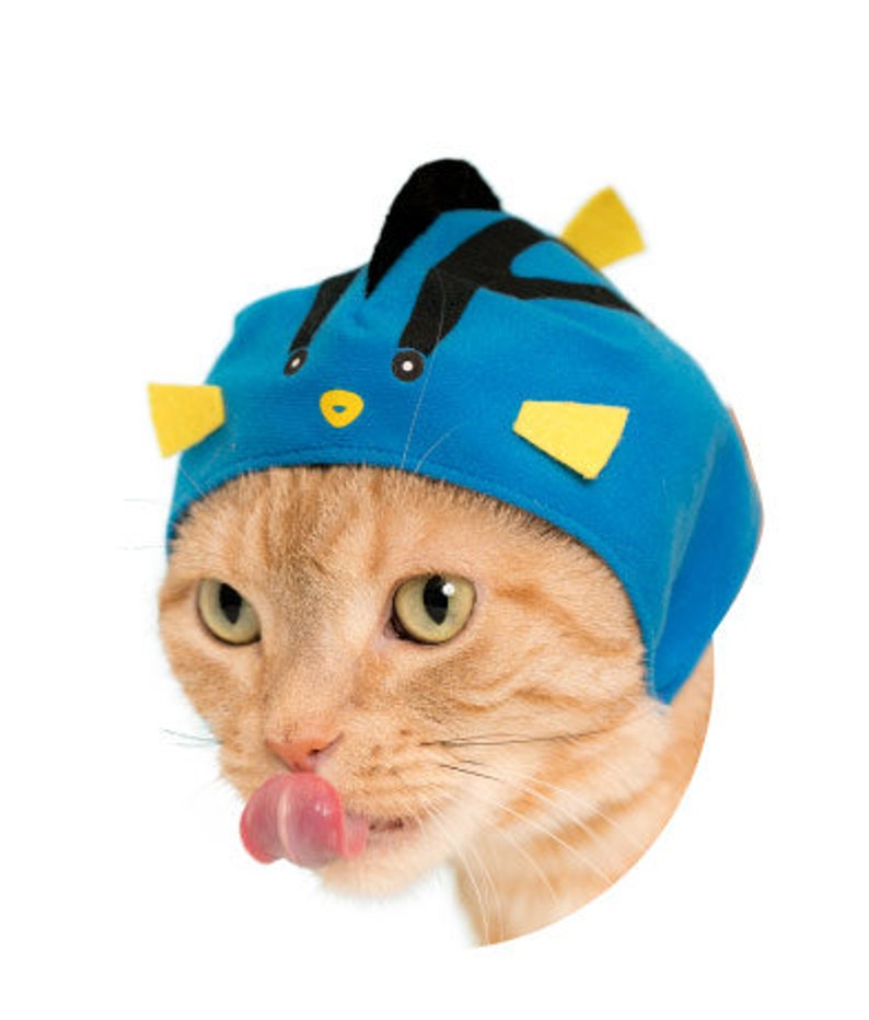 Cap cat видео