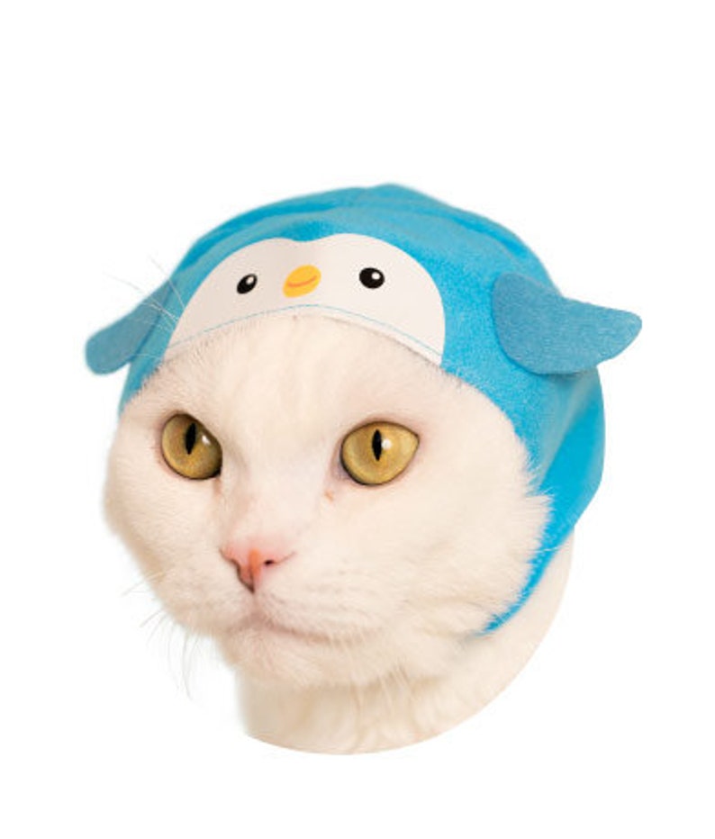 Cat Cap Gachapon Aquarium Series Etsy