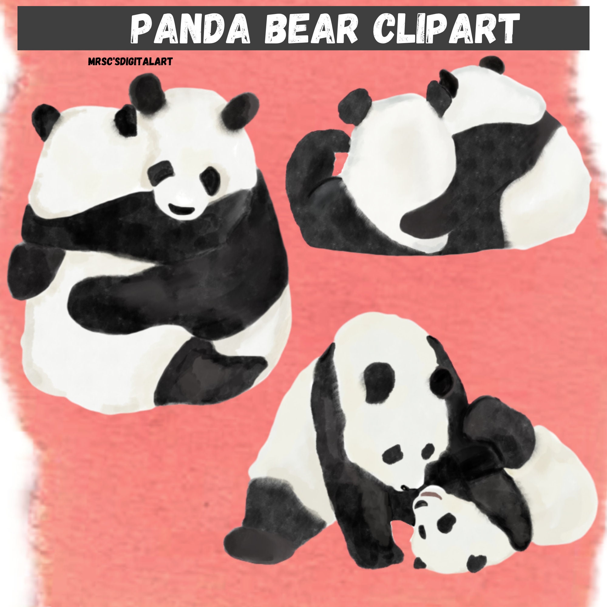 Que Tiene Los Pandas Que No Tenga Ningún Otro Animal Acuarela Panda Osos clipart Bebé panda con Padre / madre | Etsy México