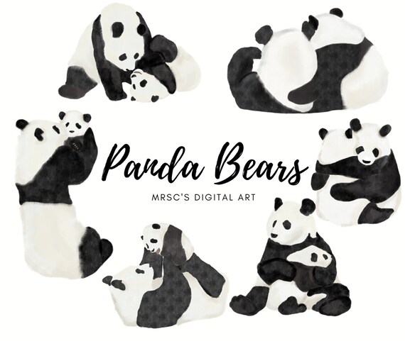 Watercolor Panda Bears Clipart Baby Panda With Father Mother Etsy