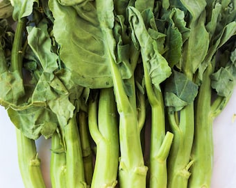 Chinesische Brokkolisamen | Jade F1 Gai Kai Lan Jie Rapini Rabe Kale Stem Greens Cabbage Yu Choy Asiatische Gemüsesamen 2024 Saison Schneller Versand