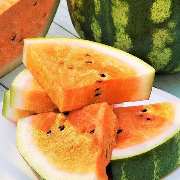 Tendersweet Orange Watermelon Seeds | Non GMO Heirloom Tropical Exotic Melon Orangeglo Crimson Garden Fruit Seed 2024 Season Free Shipping