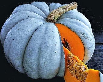 Jarrahdale Blue Pumpkin Seeds | Cinderella Fairytale Winter Squash Jarradale Queensland Moon Doll Vegetable Seed 2024 Season Fast Shipping