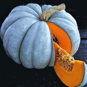 Jarrahdale Blue Pumpkin Seeds | Cinderella Fairytale Winter Squash Jarradale Queensland Moon Doll Vegetable Seed 2024 Season Fast Shipping