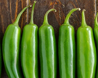 Serrano Pepper Seeds bin75