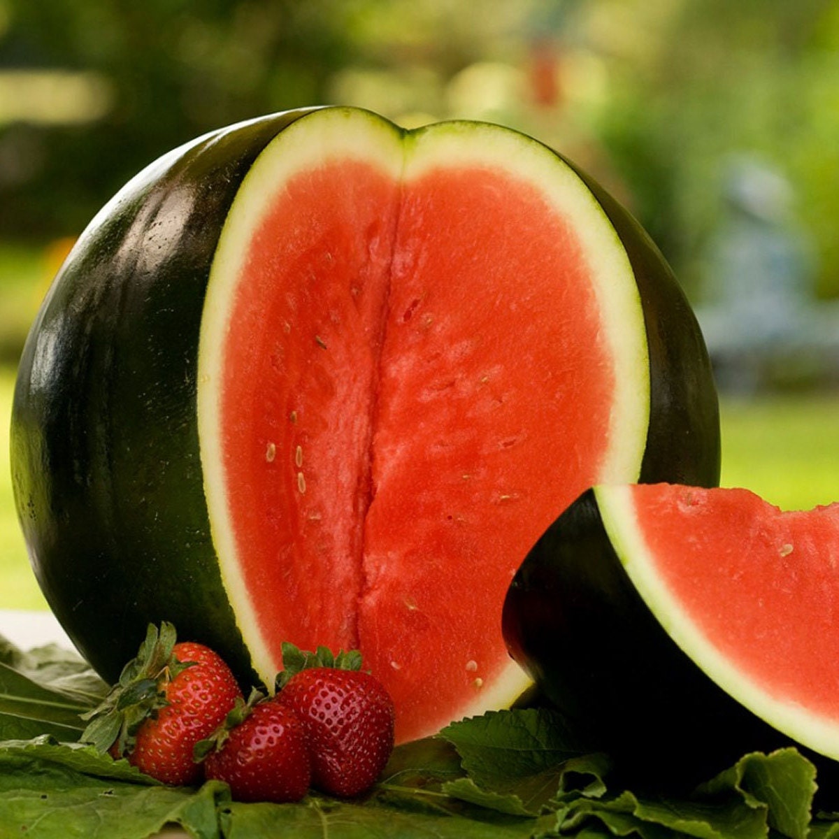 sugar baby watermelon nz