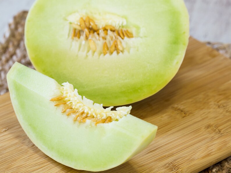 Green Flesh Honeydew Melon Seeds Cucumis Melo Honey Girl Dew Cantaloupe Bailan Wallace Inodorus Fruit Seed For 2024 Season Fast Shipping image 2