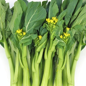 Yu Choy Sum Seeds 70D Improved Green Flowering Cabbage Bok Choy Chinese Broccoli Caitai Asian Vegetable Seed For 2024 Season Fast Shipping image 1