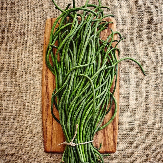 Seeds Light Green Yard long Asian Noodle Beans Heirloom Vegetable Seeds