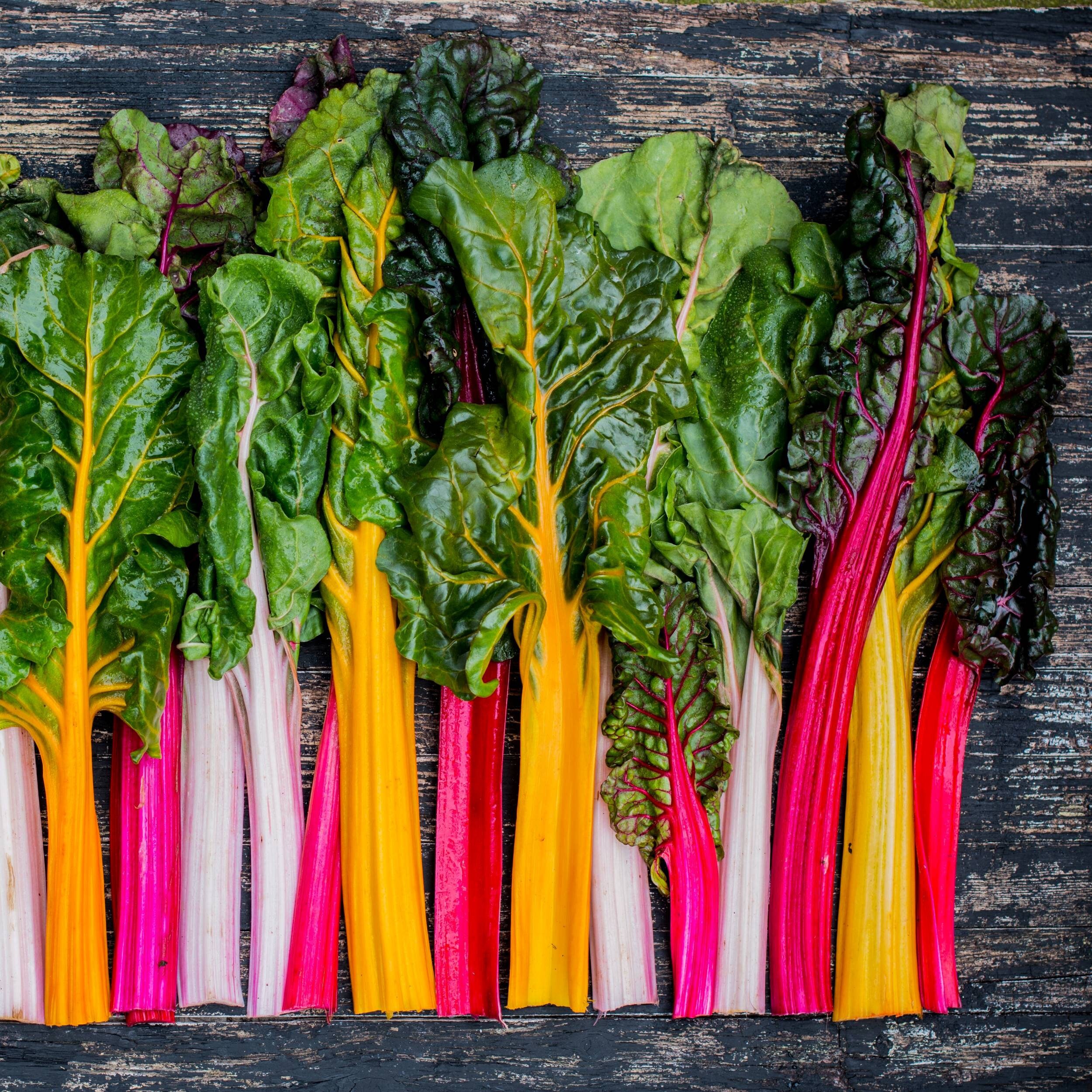 Northern Lights Mix Swiss Chard Seeds Yellow Red Pink Etsy