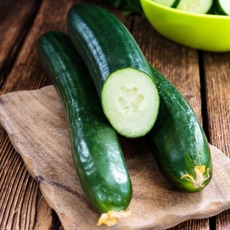 Tendergreen Burpless Cucumber Seeds English Cucumbers Etsy