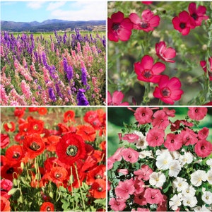 Birds, Bees, Butterflies Pollinator Mix Flower Seeds 22 Species Variety Fragrant Color Annual Perennial Flowers Seed 2024 Fast Shipping image 5