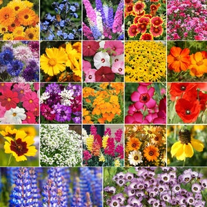 Birds, Bees, Butterflies Pollinator Mix Flower Seeds 22 Species Variety Fragrant Color Annual Perennial Flowers Seed 2024 Fast Shipping image 1