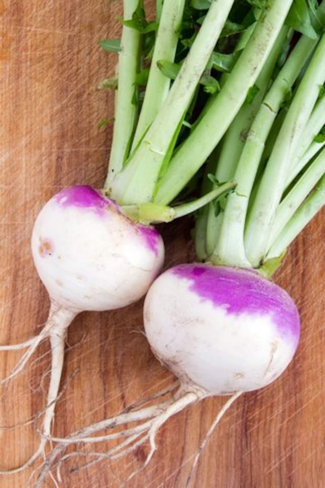 Purple Top Turnip Seeds USA Garden Vegetable Organic Turnips Etsy