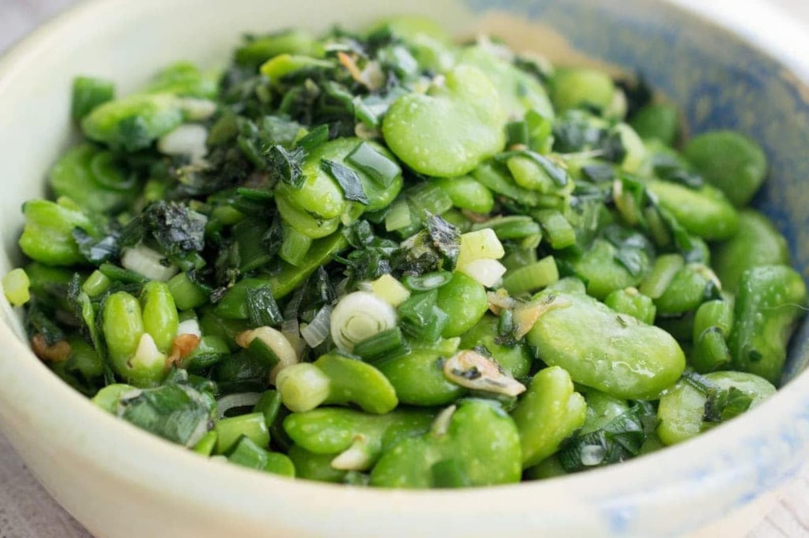 Aquadulce Fava Bean Seed Broad Windsor Cold Tolerant Summer Etsy