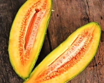 Banana Cantaloupe Seeds | Heirloom Oblong Orange Flesh Yellow Skinned Casaba Sweet Tropical Exotic Fruit Seed For 2024 Season Fast Shipping