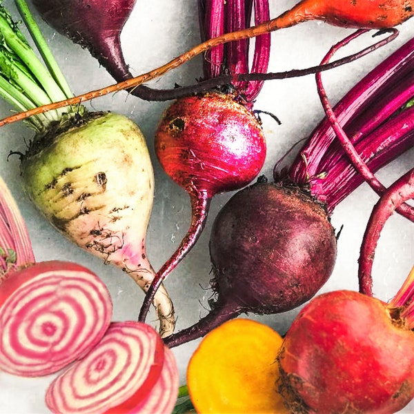 Rainbow Mix Beet Seeds | 5 Species Blend Mixed Colors Beets Turnip Beetroot Radish Garden Root Vegetable Seed For 2024 Season Fast Shipping