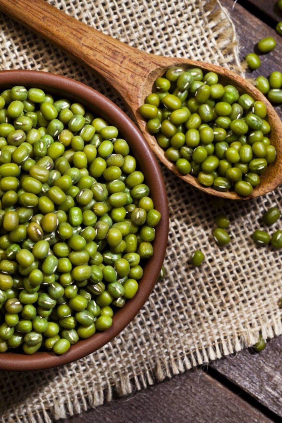 Mung Bean Seeds USA Non GMO Green Vegetable Asian Peas Adzuki Cowpea