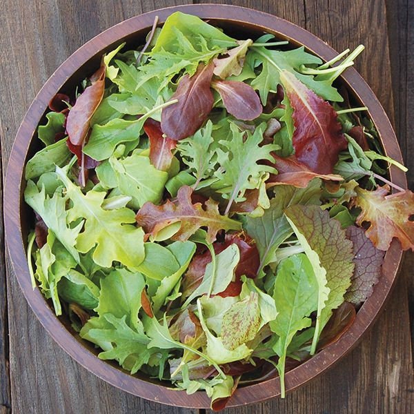 Mesclun Mix Lettuce Seeds | Spring Mix Salad Greens Arugula Mizuna Tatsoi Russian Kale Garden Vegetable Seed 2024 Season Fast Shipping