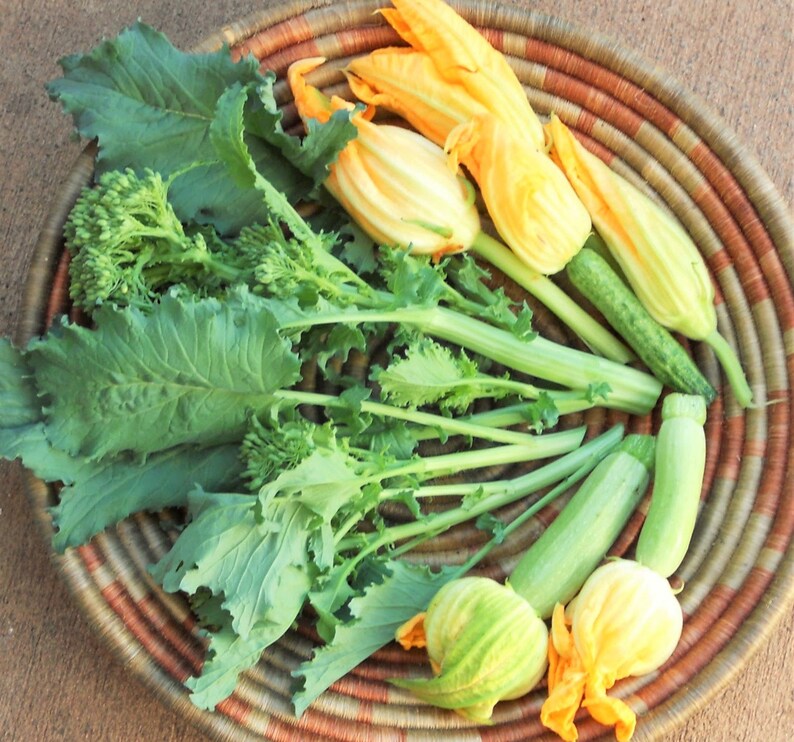 Broccoli Rabe Seeds Broccoli Raab Spring Rapini Broccolini Etsy