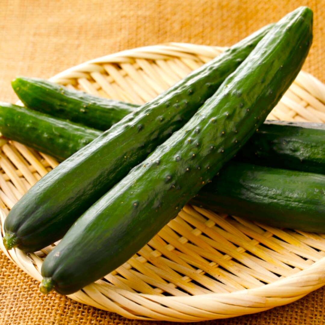 Japanese Long Burpless Cucumber Seeds Kyuri Dark Green Premium Seedless