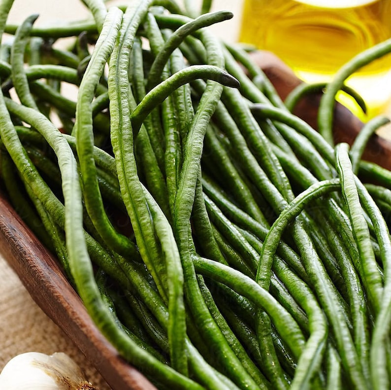Dark Green Yard Long Bean Seeds Organic Non GMO Heirloom USA Etsy