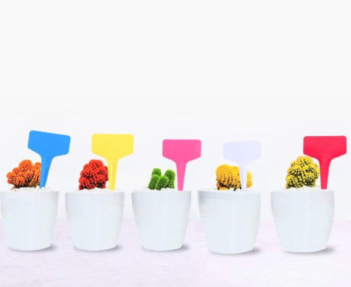 MULTICOLOR Plant Labels Garden Row Marker Label Stake Seeds Etsy