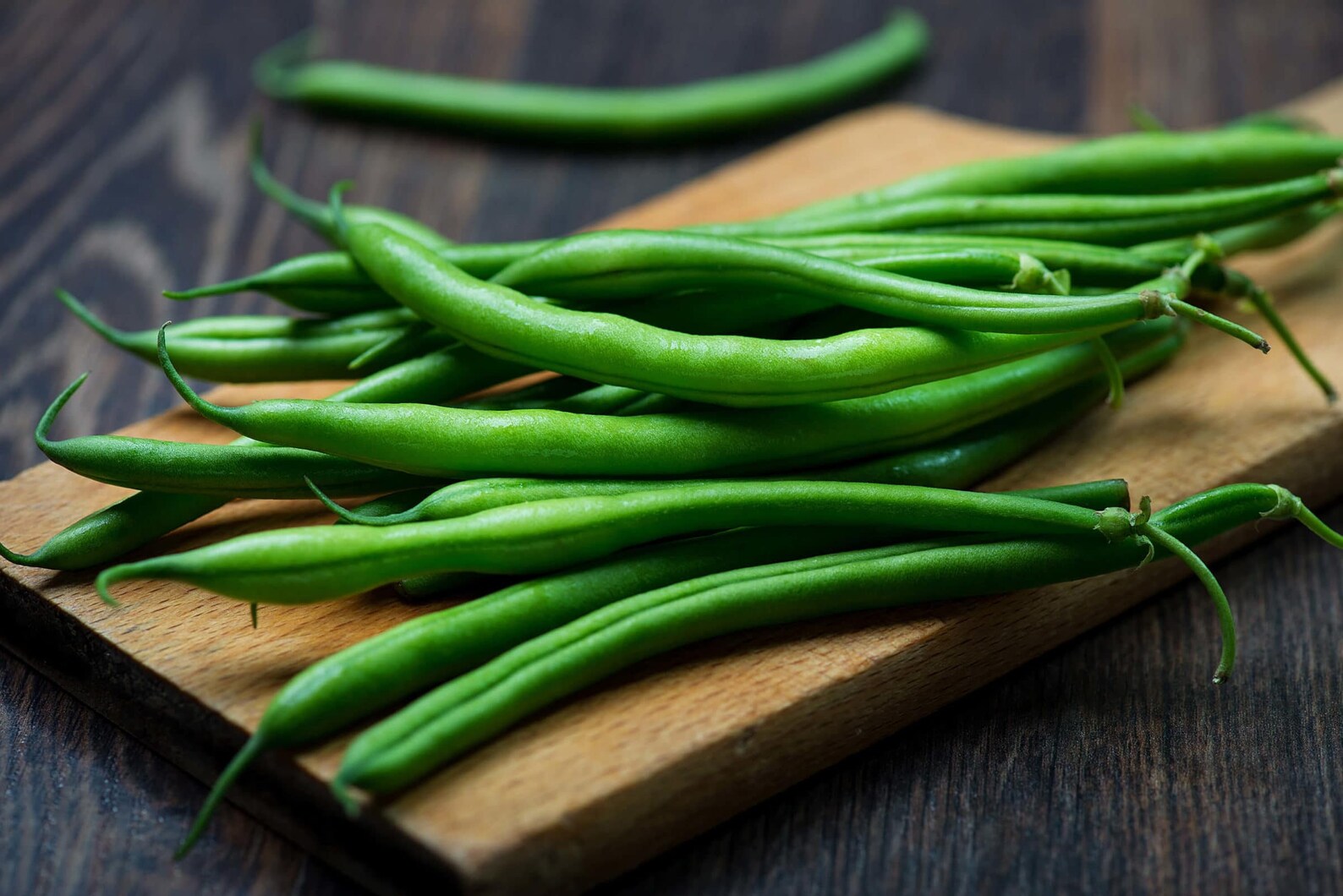 Provider Green Bean Seeds Bush Organic Non GMO Heirloom Etsy