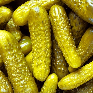 Parisian Gherkin Cucumber Seeds French Cornichon Baby Cucumbers Pickle Mini Kirby F1 Hybrid Vegetable Seed For 2024 Season Fast Shipping image 9