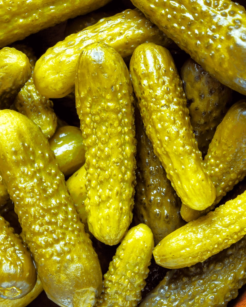 Parisian Gherkin Cucumber Seeds French Cornichon Baby Cucumbers Pickle Mini Kirby F1 Hybrid Vegetable Seed For 2024 Season Fast Shipping image 9