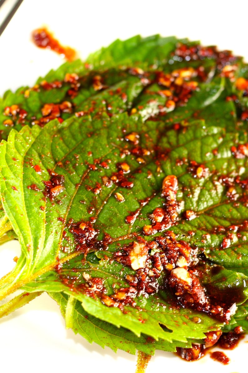Korean Perilla Shiso Seeds Kaennip Sesame Beefsteak Leaf Green Purple Basil Mint Herb Asian Vegetable Seed For 2024 Season Fast Shipping image 5