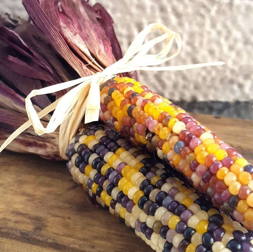 Organic Hand Cut Corn Husks for Tamales or Craft Projects. Package