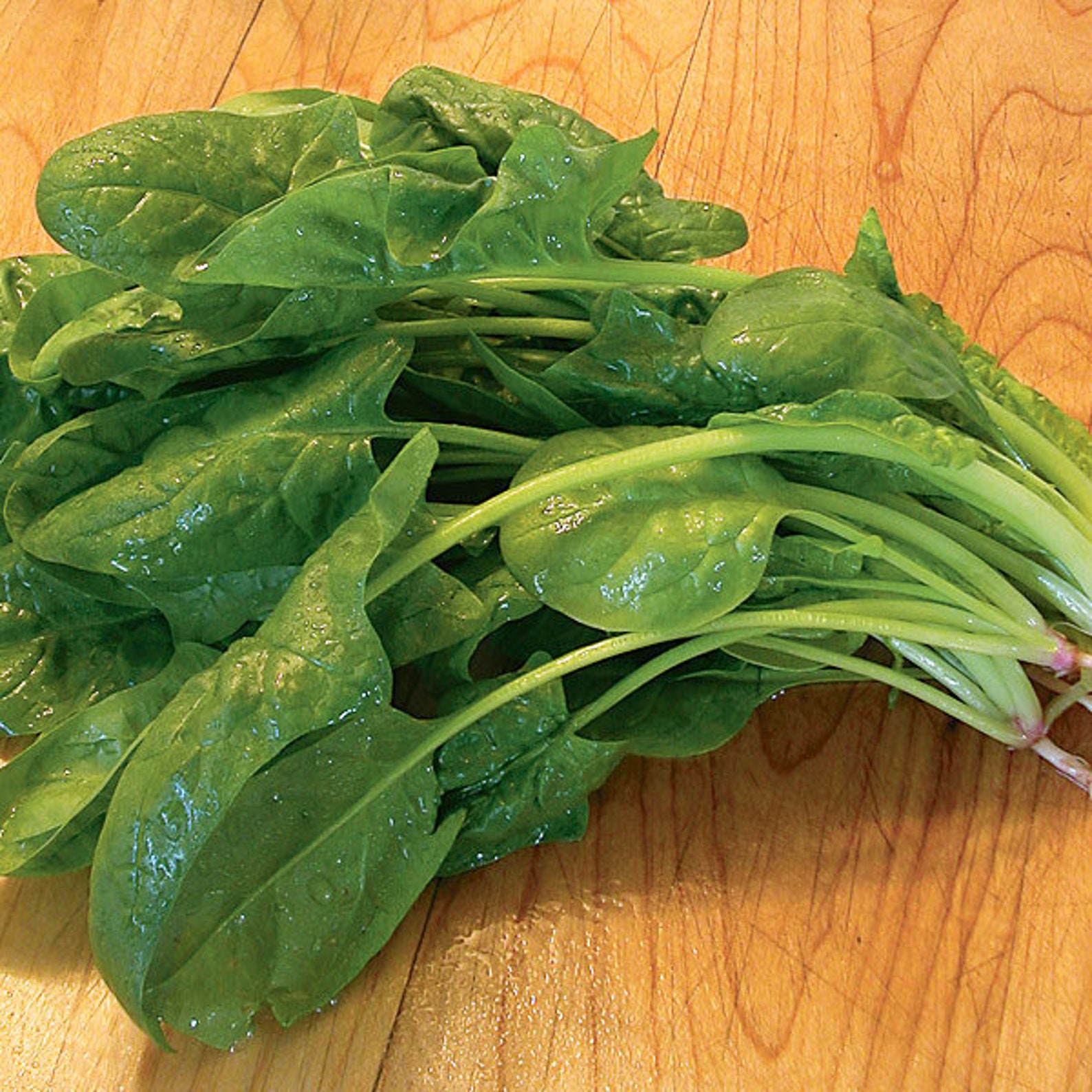 Bloomsdale Spinach Seeds for Growing Gardening Green Etsy