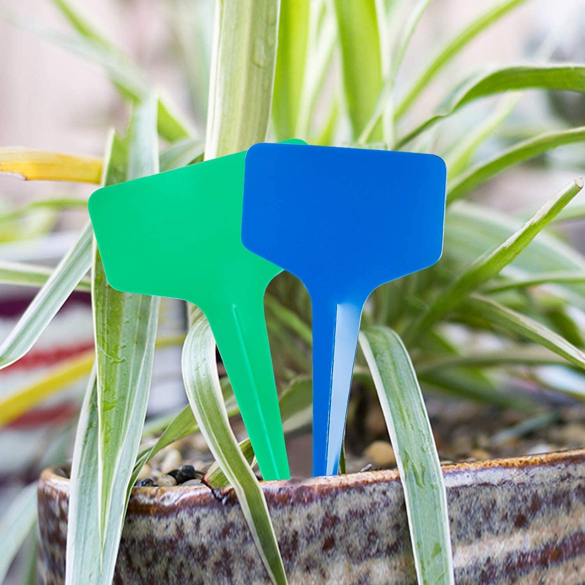BLUE Plant Labels Garden Row Marker Label Stake Seeds Etsy