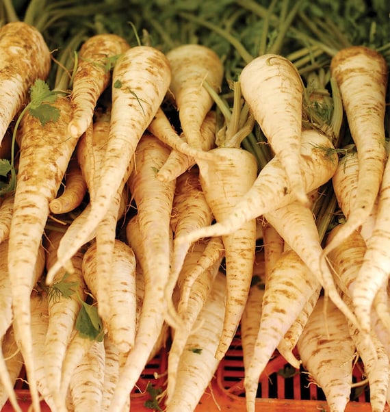 Order Parsnip Harris Model Heirloom Seeds now reduced price FREE shipping & a free gift. Special sale
