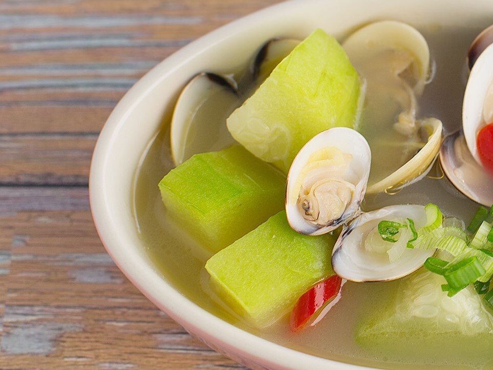 Fuzzy Star Fuzzy Melon Seeds Wax Gourd Fuzzy Hair Hairy Etsy