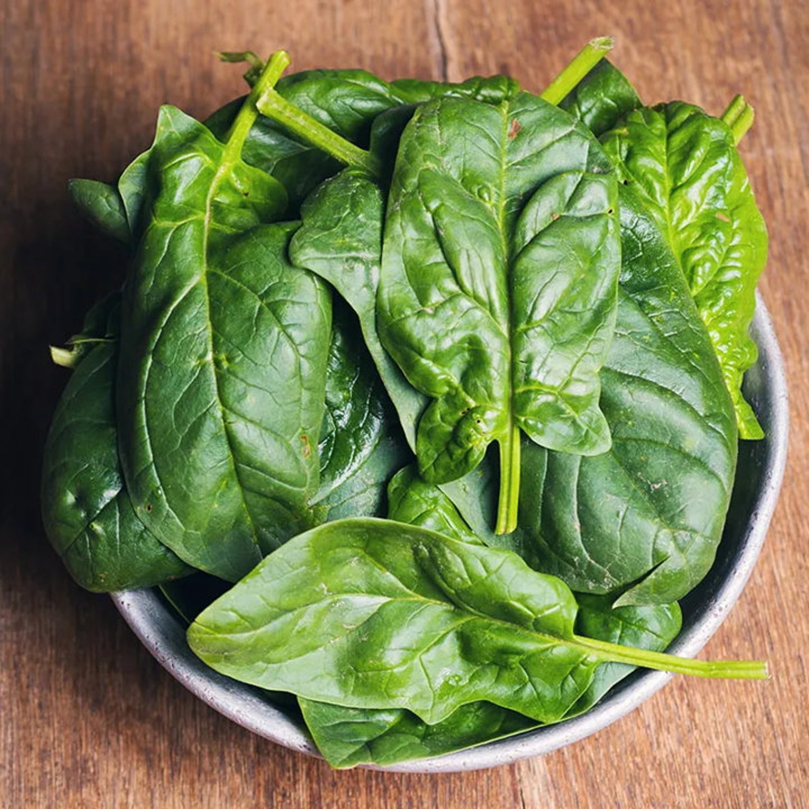 Noble Giant Spinach Seeds Heirloom Slow Bolting Cold Hardy Etsy Australia