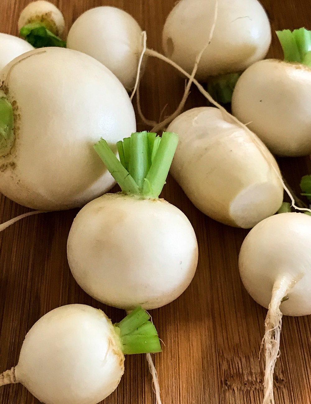 Shogoin Japanese Turnip Seeds Nongmo Heirloom Garden Hakurei Etsy