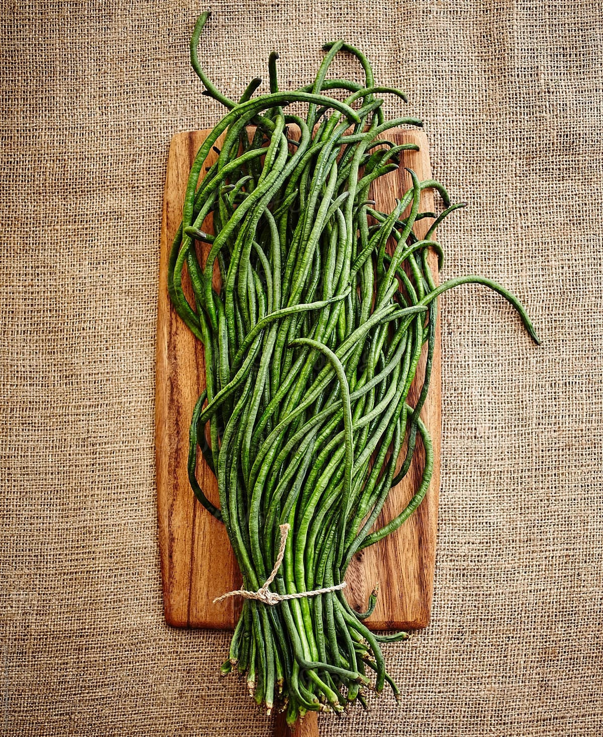 Yu Long Yard Long Bean Seeds | Organic Non GMO Heirloom USA Chinese V…