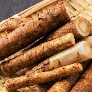 Early Watanabe Burdock Seeds | Articum Lappa Kinpira Gobo Niúbàng 牛蒡, U-eong 우엉 Brown Root East Asian Vegetable Seed For 2024 Fast Shipping