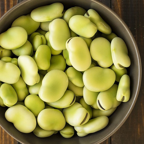 Aquadulce Fava Bean Seeds | Broad Windsor Cold Tolerant Summer Faba Green Lima Beans Butter Peas Vegetable Seed Fresh For 2024 Fast Shipping