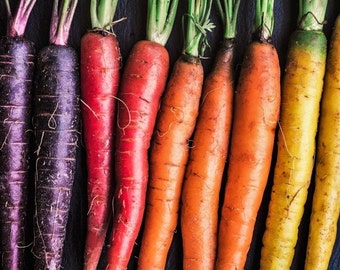 Rainbow Mix Carrot Seeds | Purple Red Yellow Orange Blend Mixed Carrots Vegetable Kaleidoscope Parsnips Seed For 2023 Season Fast Shipping